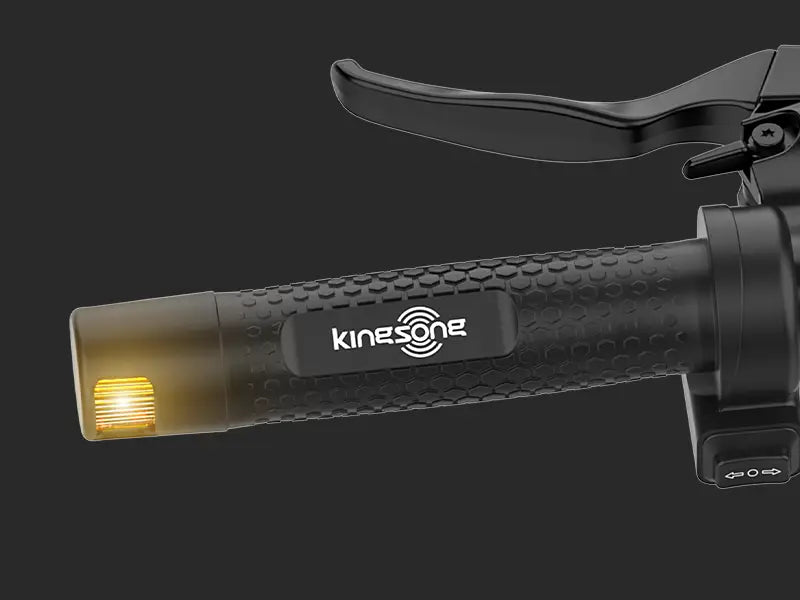 Integrated Turn Signals