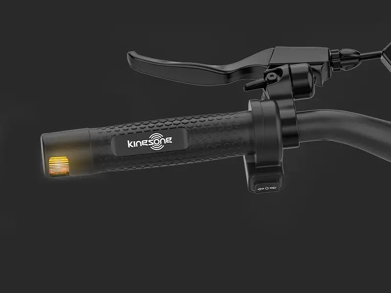 Integrated Turn Signals